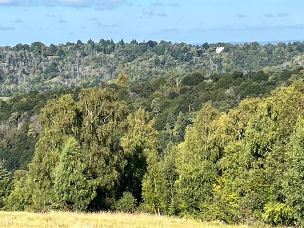 View from Juniper Top, Box Hill